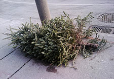 christmas tree on sidewalk