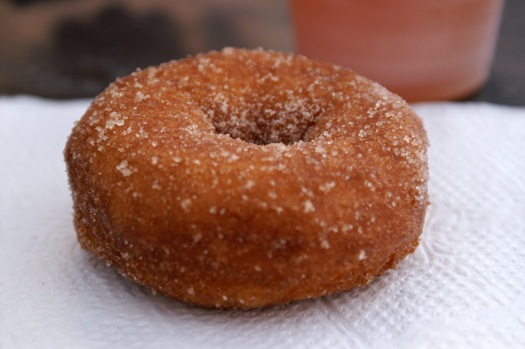 cider donut