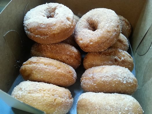 cider_donut_bread_pudding_donuts.jpg