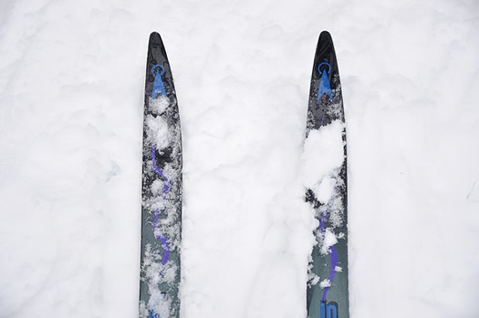 cross country skis look down