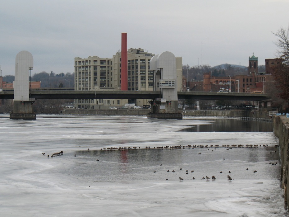 ducks_on_frozen_Hudson_River_Troy_2014-02-03_4.jpg
