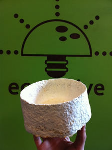 ecovative myco bowl