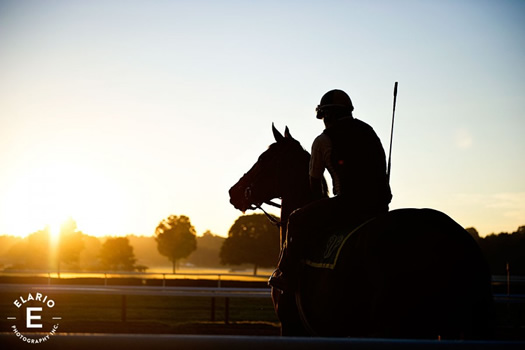 elario photography saratoga race course sunrise