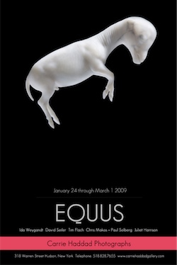 equus poster