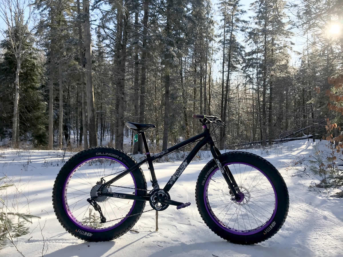 fat bike in sun