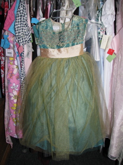 fifis dressy dress .jpg