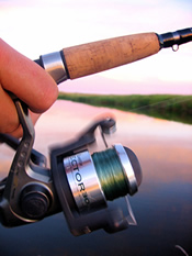 fishing pole reel