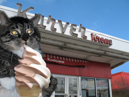 flabby tabby I can haz kurver kreme