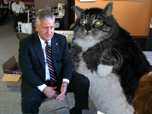 flabby tabby with Jerry Jennings