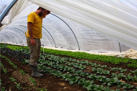 Kilpatrick Family Farm Keith in tunnel