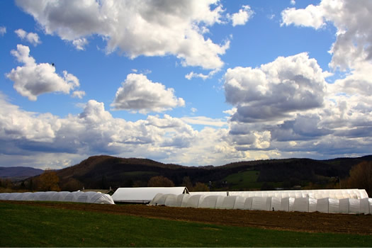 Kilpatrick Family Farm tunnel system