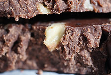 fudge closeup