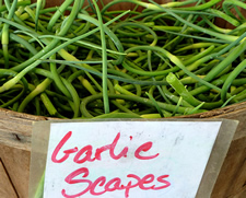 garlic scapes in basket