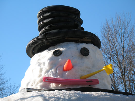 giant guilderland snowman face