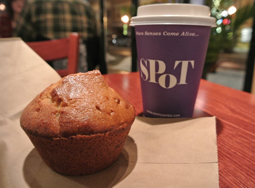 glens_falls_spot_coffee_muffin.jpg