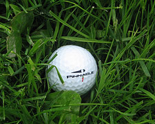 golf ball in rough