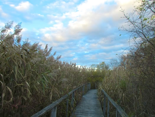 great_flats_nature_trail.jpg