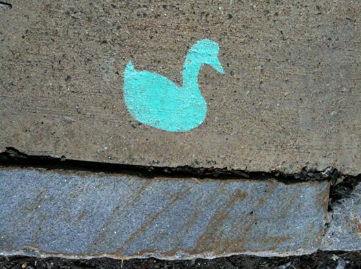 green duck tag just off western ave