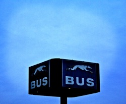 greyhound sign