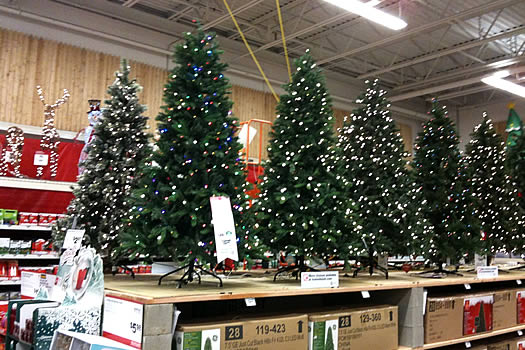 home depot albany pre-halloween christmas trees