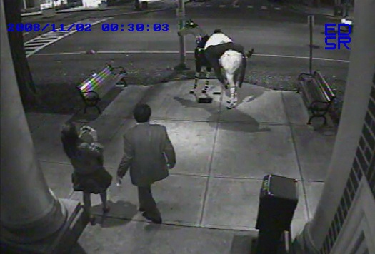 Saratoga Broadway horse vandals