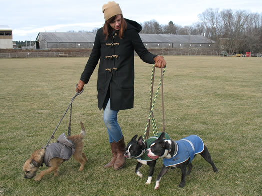 hounds on the hudson jen pursley cold weather