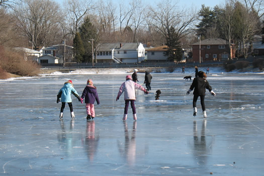 ice skaters on Buckingham Pond