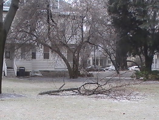 ice storm 2008-12-12 St Rose