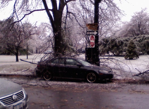 ice storm 2008-12-12 car under branches