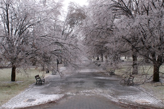 The Frame: An ice storm coats the northeast