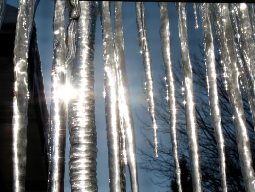 icicles backlit by sun