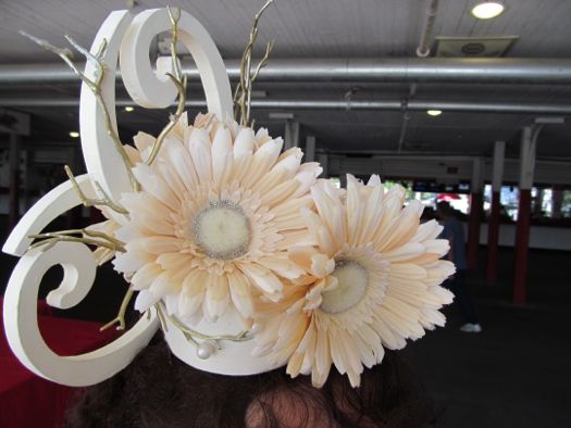 2012 hat gerbera daisy.jpg