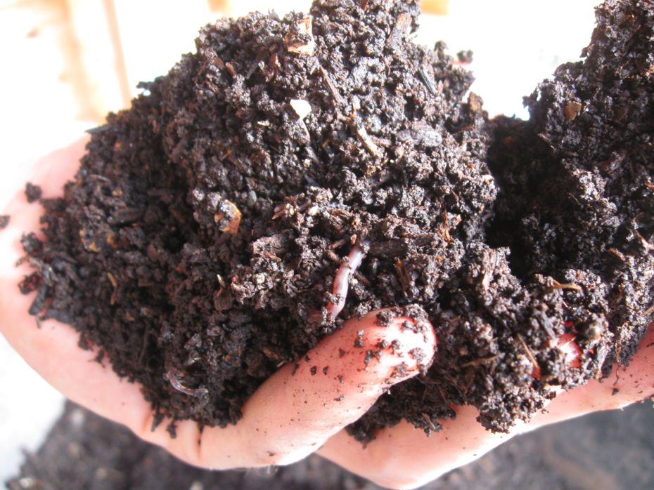 Radix vermaculture fertilizer .jpg