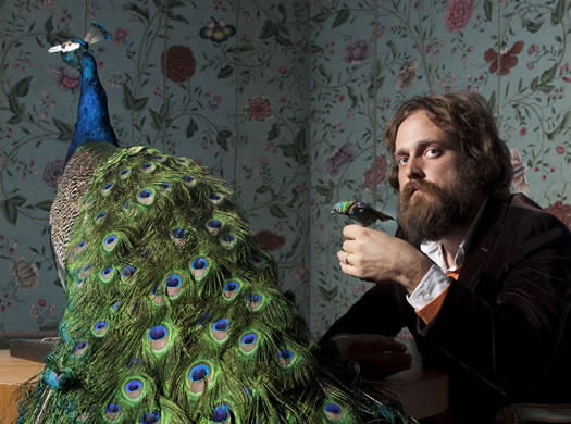 Iron and Wine and a peacock