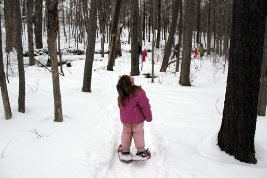 katie's daughter snow shoeing in the woods