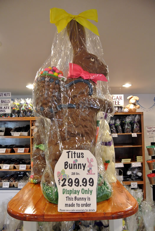 krauses_chocolate_bunny_titus.jpg