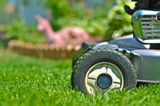lawnmower grass closeup