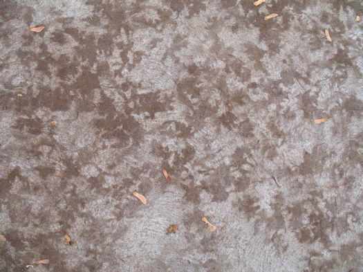leaf stains on sidewalk 2