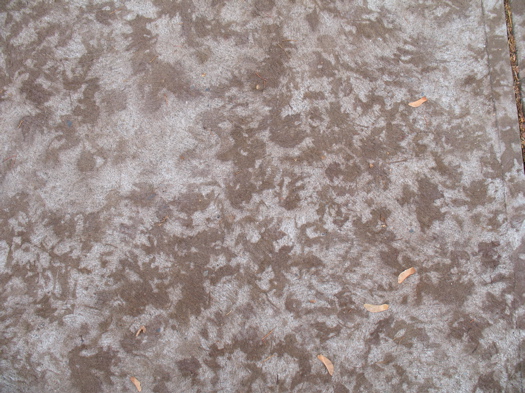 leaf stains sidewalk 3