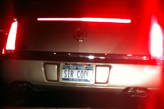 license plate sir cool