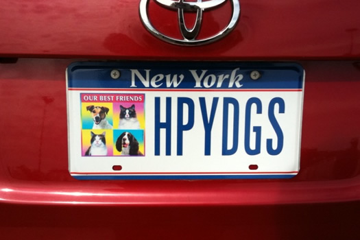 license plate hpydgs