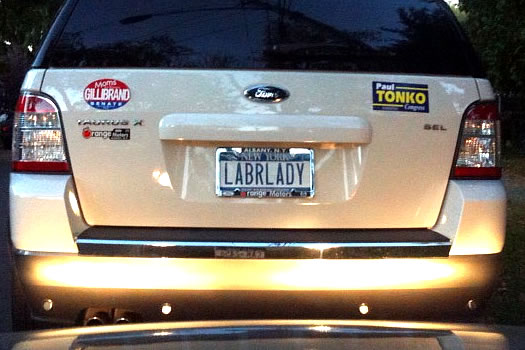license plate labrlady