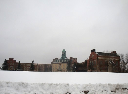 livingston school from distance