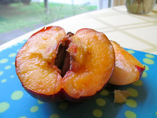 maynard_farms_yellow_nectarine.jpg