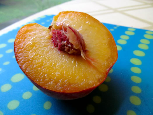 maynard_farms_yellow_peaches.jpg