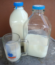 meadowbrook milk glass crop