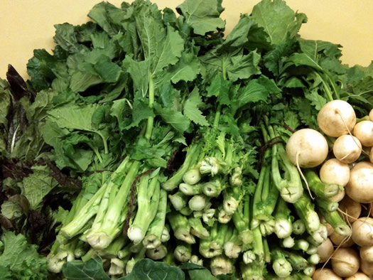 migliorelli broccoli rabe at market