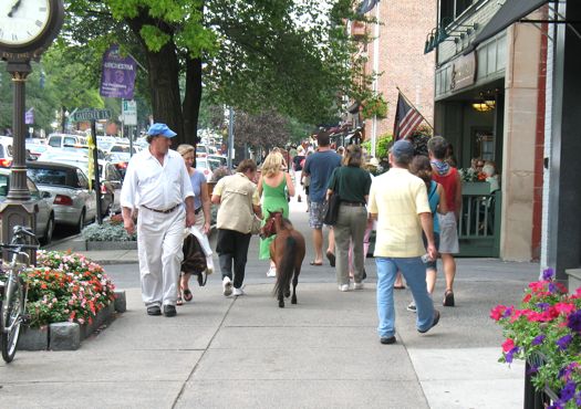 mini horse on broadway