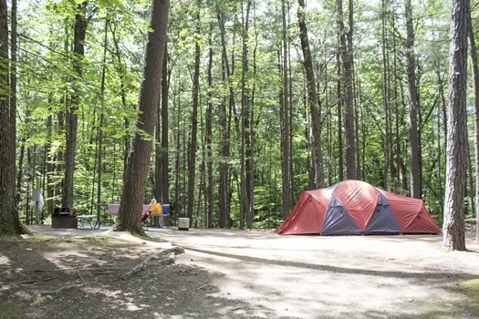 moreau_lake_state_park_occupied_camp_site.jpg