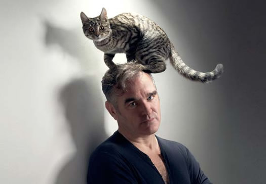 morrissey with cat horizontal